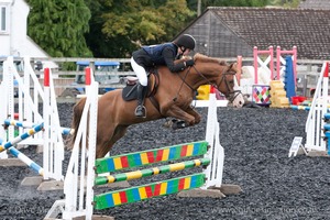 Class 6 - Fences not above 2'9